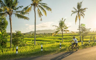 Passeio de bicicleta e cachoeira de dia inteiro em Ubud